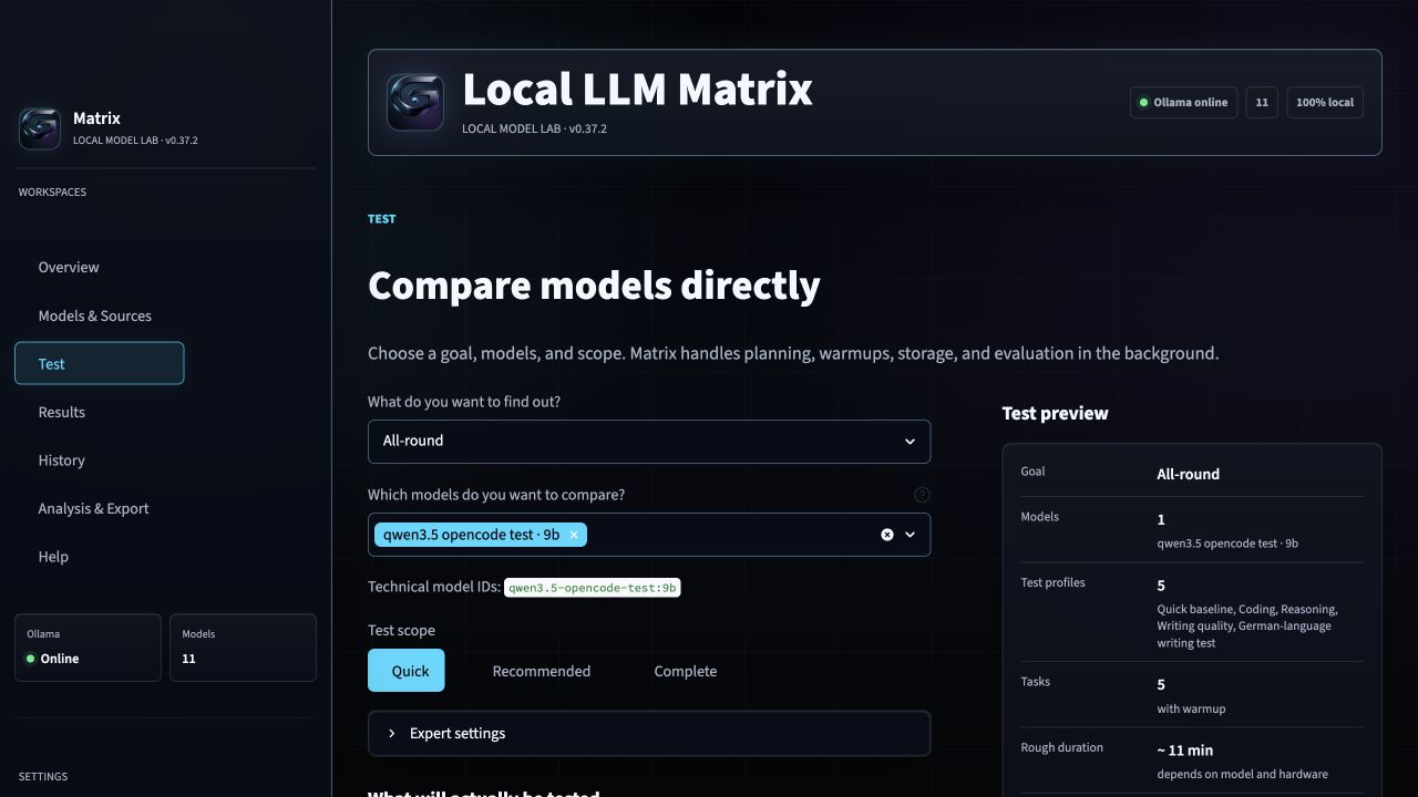 Local LLM Matrix test workflow view.